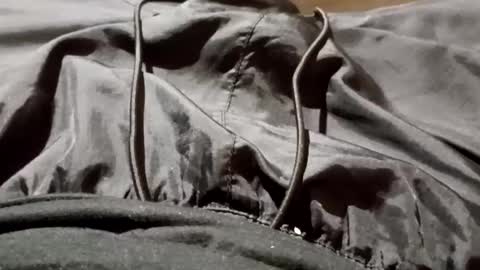 Snapshot of lvacd11 chatting on 09/26/25, 11:25 Lvac11 online show from 09/26/25, 11:25