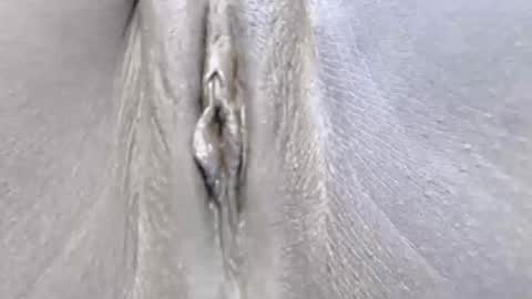 lyiajee online show from 10/14/25, 07:09