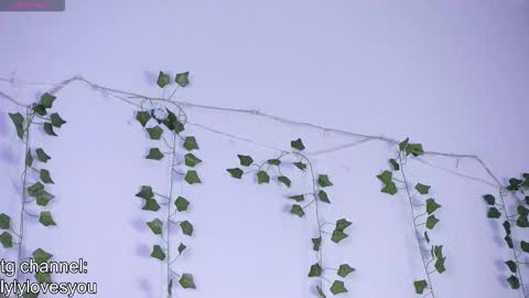 Lyly   online show from 11/13/25, 05:39