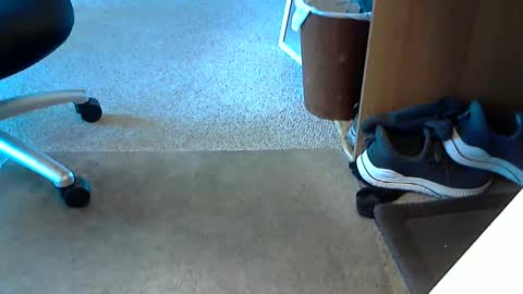 lynne_cd_nj online show from 10/01/25, 08:26