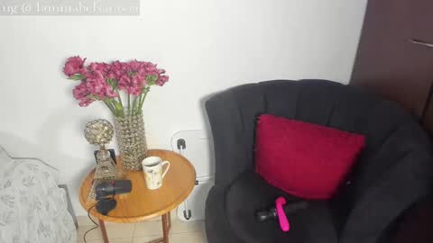 Snapshot of mabelsaravia chatting on 11/16/25, 06:46 mabel online show from 11/16/25, 06:46