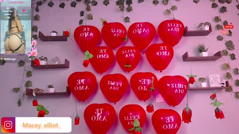 Macey Elliot Modelo Independiente online show from 02/15/25, 02:55
