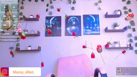 Macey Elliot Modelo Independiente online show from 02/26/25, 07:16