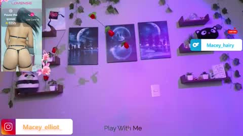 Macey Elliot Modelo Independiente online show from 03/12/25, 09:35