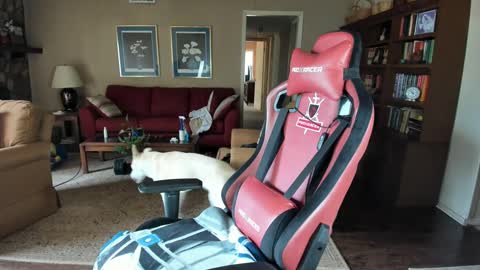 machinecumkelly69 online show from 09/21/25, 06:09