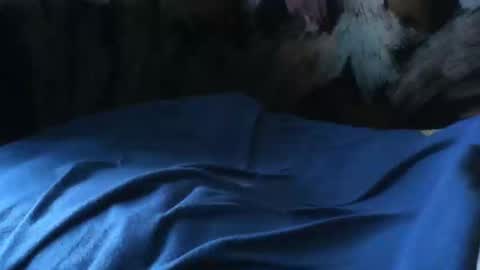 Snapshot of macho9385 chatting on 09/24/25, 07:33 macho9385 online show from 09/24/25, 07:33