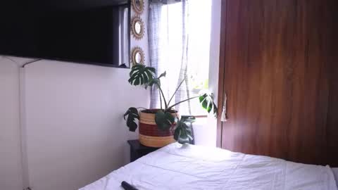 maggie online show from 11/19/25, 04:07