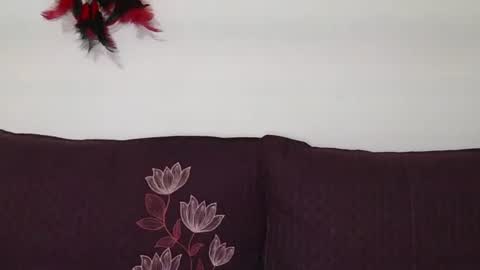 Snapshot of magic_door_open chatting on 10/30/25, 09:11 magic door open online show from 10/30/25, 09:11