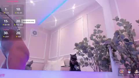 Maia online show from 07/17/26, 11:06