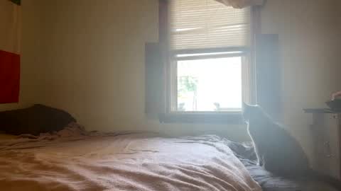 mainecollegeboy online show from 02/26/25, 01:19