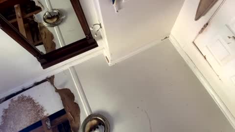 mainecollegeboy online show from 09/15/25, 03:34