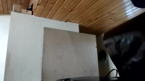 MAITE STONE1 online show from 10/31/25, 11:55