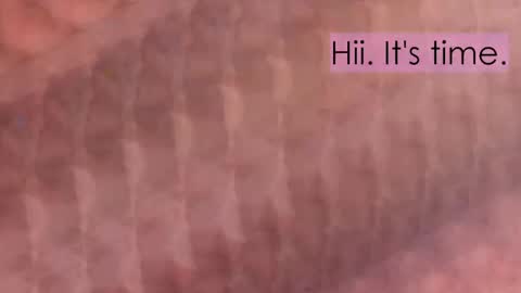 Snapshot of maitte_angel chatting on 04/02/26, 12:03 maitte_angel online show from 04/02/26, 12:03