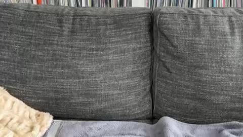 majortazer online show from 12/03/24, 09:23