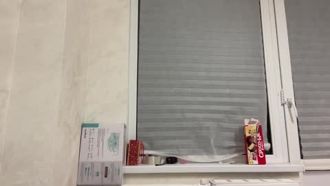 Tom and Mark 3 online show from 01/25/25, 03:09