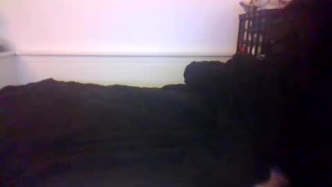 CommandbondageNipples bondage kink submissive lovense slave wgear. modequiethvyBondage If Password goldfish online show from 10/20/25, 07:20