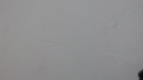 cristal online show from 04/24/26, 10:39