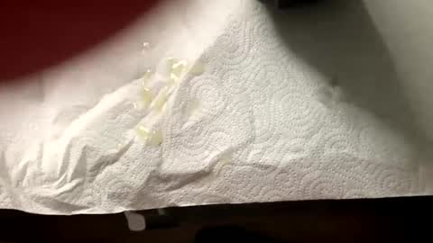 man4you888 online show from 02/20/25, 03:08