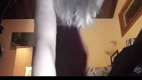 Snapshot of mangoseeed chatting on 11/01/25, 11:12 mangoseeed online show from 11/01/25, 11:12