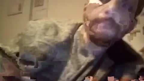 LANGERFICK online show from 01/18/25, 07:38
