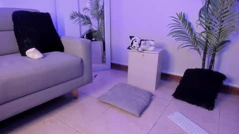 Manu Velez  online show from 01/17/25, 05:41