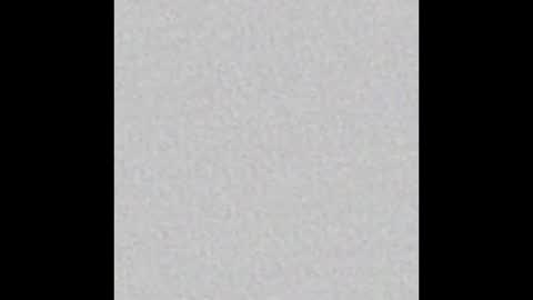 Maple online show from 02/06/25, 08:45