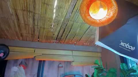 Snapshot of marcovitto chatting on 11/18/25, 07:29 marcovitto online show from 11/18/25, 07:29