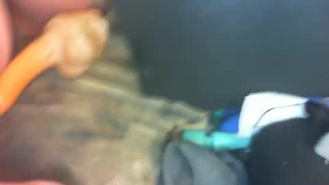 Snapshot of marcsexxy chatting on 01/01/25, 10:35 Marc online show from 01/01/25, 10:35