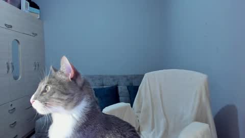    online show from 03/08/25, 02:45