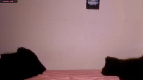 mariana williams online show from 01/31/25, 01:43