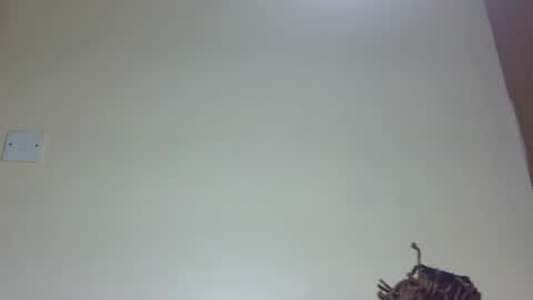 Marie online show from 06/26/26, 08:02