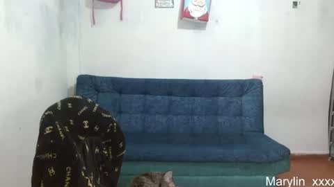  Marilyn  online show from 06/18/26, 12:33