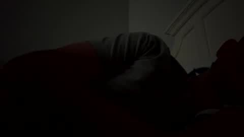 Snapshot of mark23803635 chatting on 12/08/24, 01:03 Mark23 online show from 12/08/24, 01:03