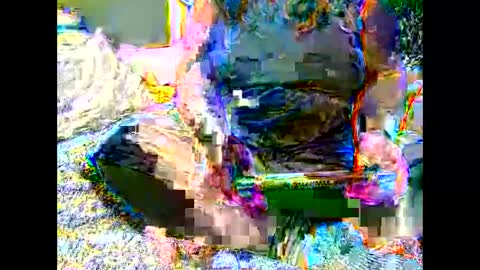 Martha online show from 11/06/25, 07:09