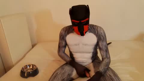 Snapshot of martin_ni chatting on 02/14/25, 11:53 martin_ni online show from 02/14/25, 11:53