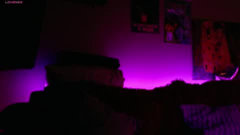     online show from 07/17/26, 07:04