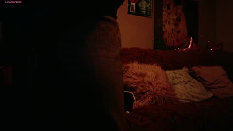     online show from 07/27/26, 06:53