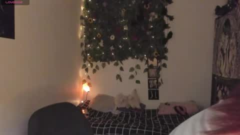 maria online show from 12/15/25, 07:51