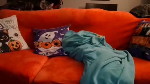 alex online show from 10/20/25, 07:53