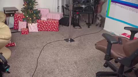 Snapshot of mattcashxxx chatting on 12/14/24, 02:12 Matt Cash online show from 12/14/24, 02:12