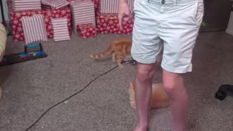 Snapshot of mattcashxxx chatting on 12/26/24, 02:12 Matt Cash online show from 12/26/24, 02:12