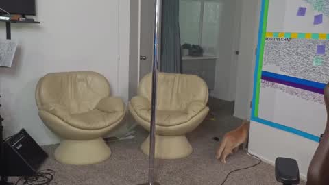 Snapshot of mattcashxxx chatting on 01/10/25, 02:14 Matt Cash online show from 01/10/25, 02:14