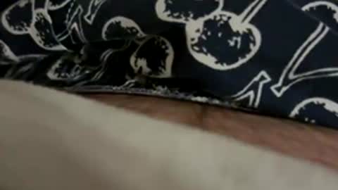 matt online show from 12/14/25, 03:01