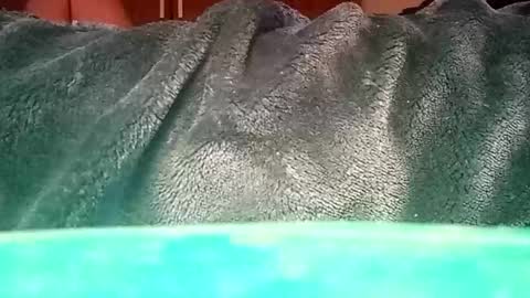 Snapshot of mauriciano2018 chatting on 01/12/25, 01:37 Ignacio online show from 01/12/25, 01:37
