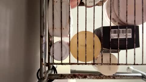 Snapshot of maxaux chatting on 10/14/25, 07:36 Max online show from 10/14/25, 07:36