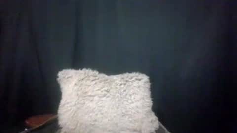 Snapshot of maximus_oreally chatting on 01/04/25, 03:40 Max online show from 01/04/25, 03:40