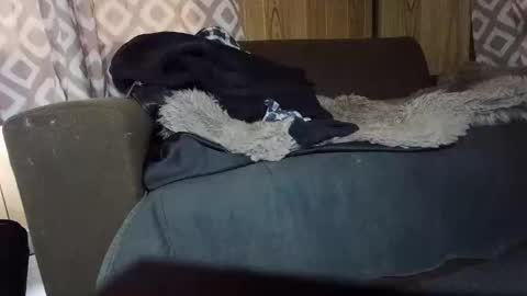 Snapshot of maximus_oreally chatting on 02/01/25, 07:15 Max online show from 02/01/25, 07:15