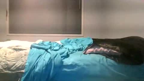 Max online show from 06/04/26, 02:28