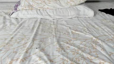 Maybelline69 online show from 11/20/25, 02:23