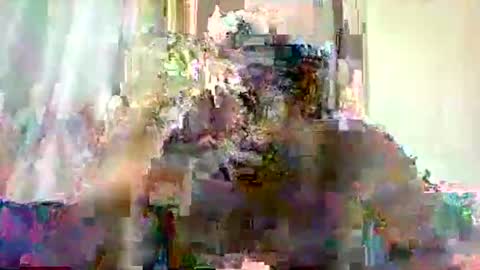 Snapshot of mclntz_bbc chatting on 05/13/26, 12:24 mclntz_bbc online show from 05/13/26, 12:24